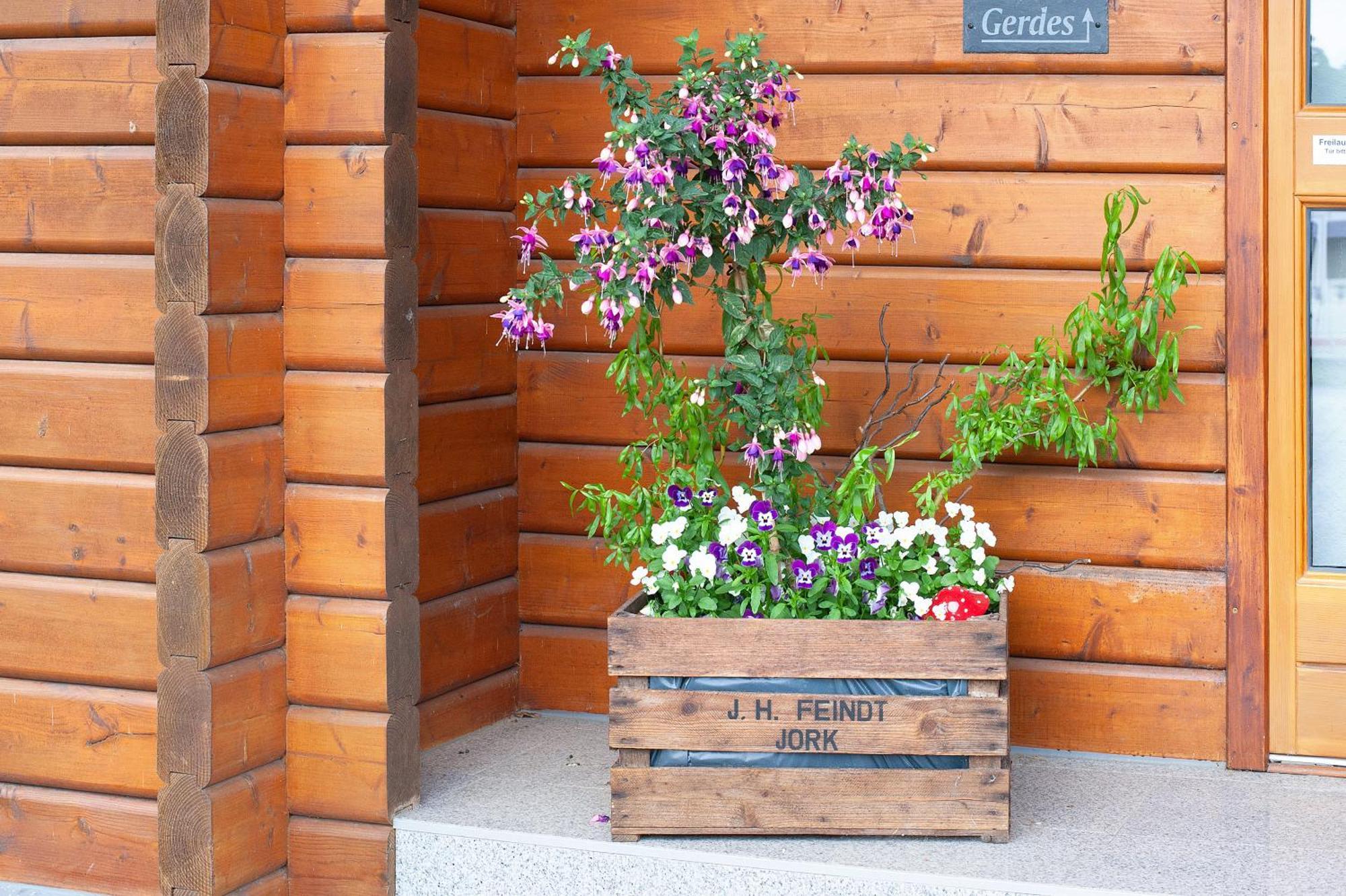 Entenhaus Hilgendorf Eksteriør billede