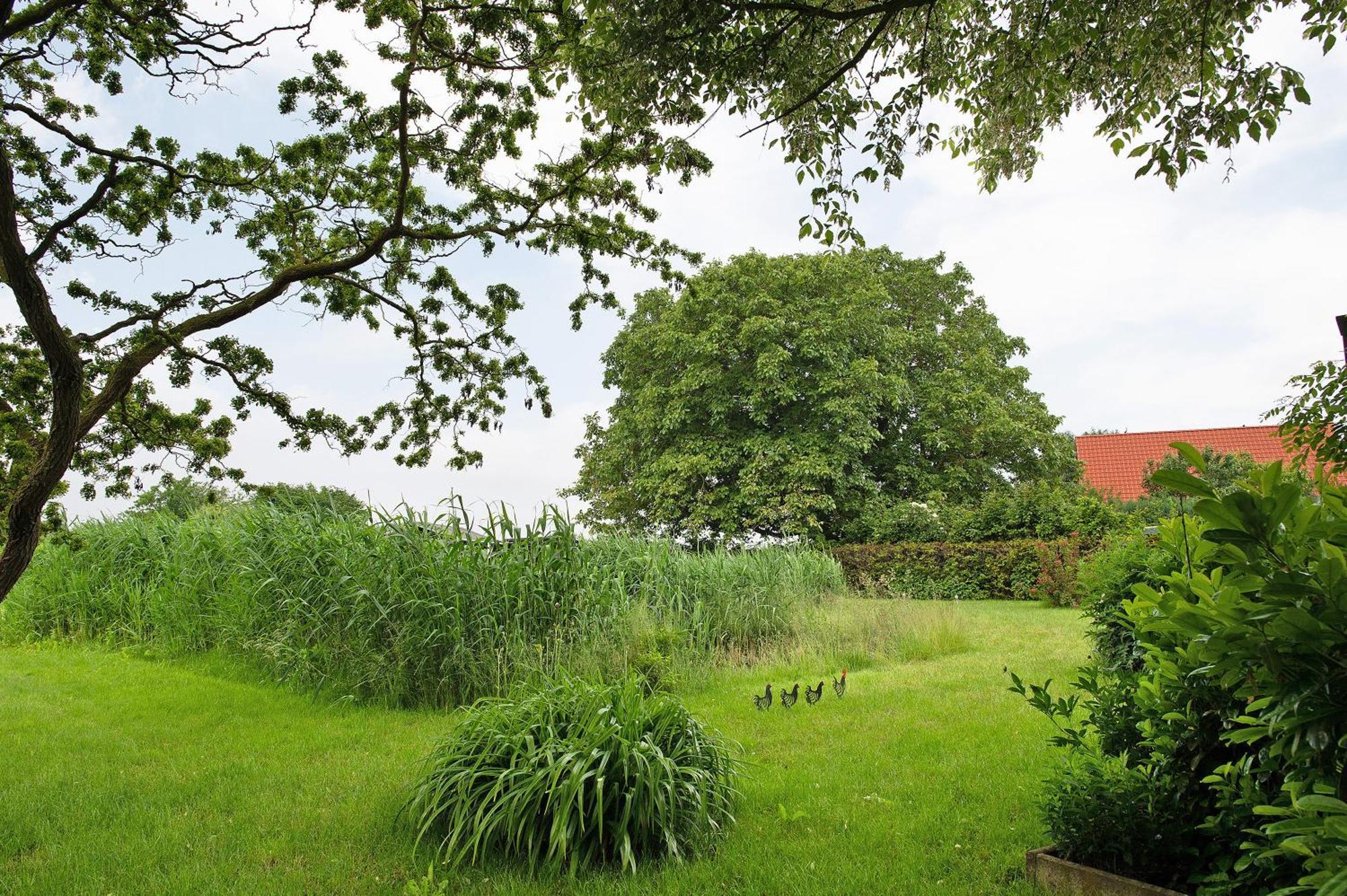 Entenhaus Hilgendorf Eksteriør billede